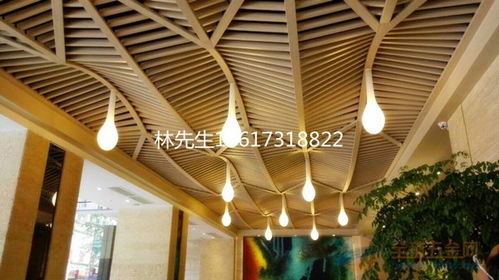 濮陽(yáng)云南弧形鋁方通廠家 建筑設(shè)計(jì)中的藝術(shù)與功能融合
